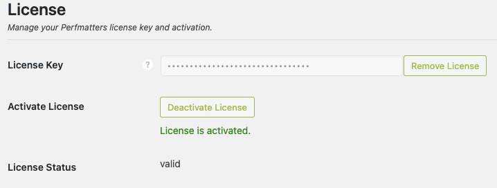Perfmatters License, sử dụng bản quyền cho plugin
